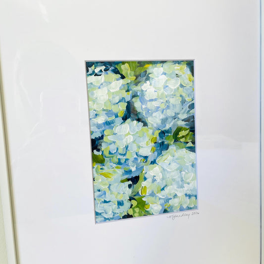 Hydrangea Bunches II