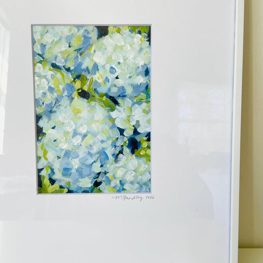 Hydrangea Bunches III