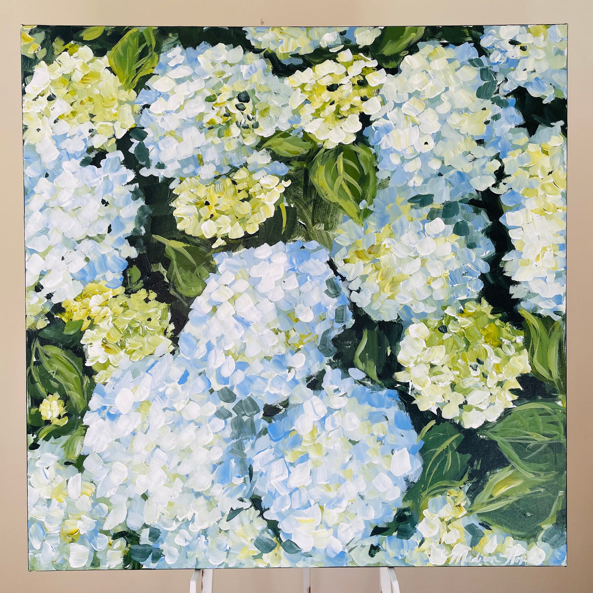 Hydrangeas III, 24 x 24