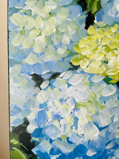 Hydrangeas IV, 30 x 30