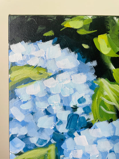 Hydrangeas V, 20 x 24