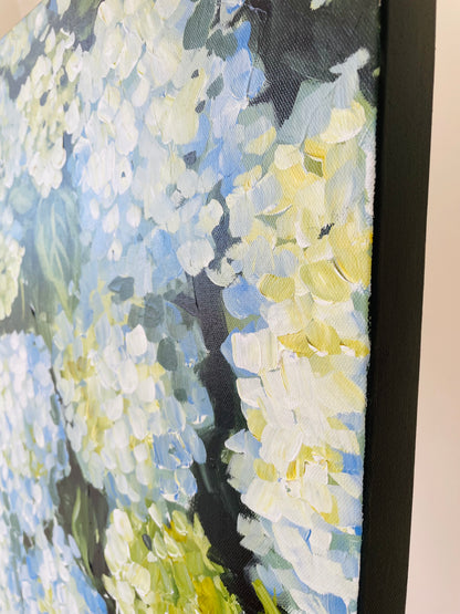 Hydrangeas III, 24 x 24
