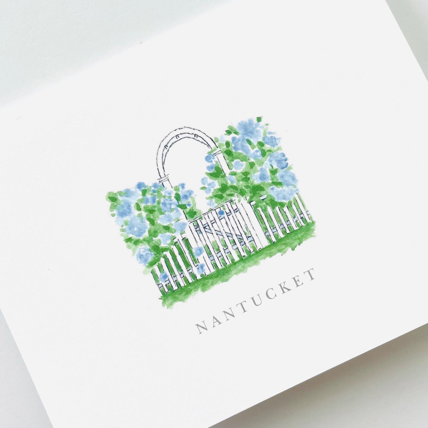 Hydrangea Arbor Notecard