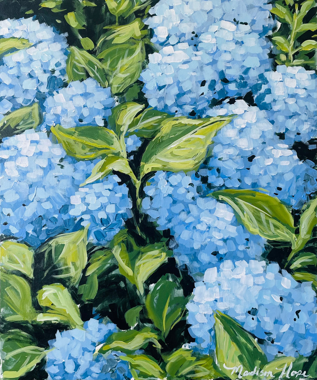 Hydrangeas V, 20 x 24