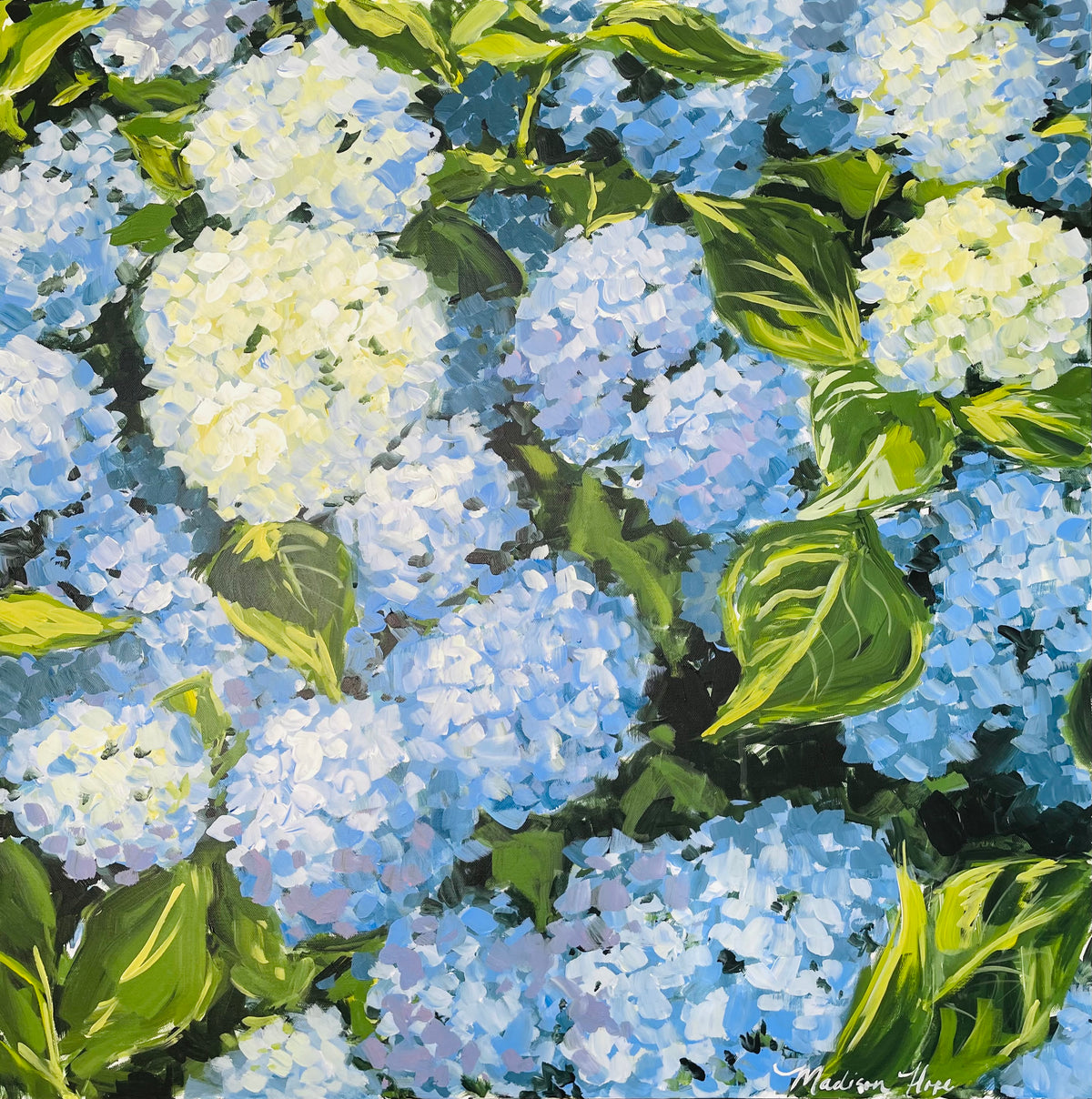 Hydrangeas I, 30 x 30