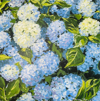 Hydrangeas I, 30 x 30