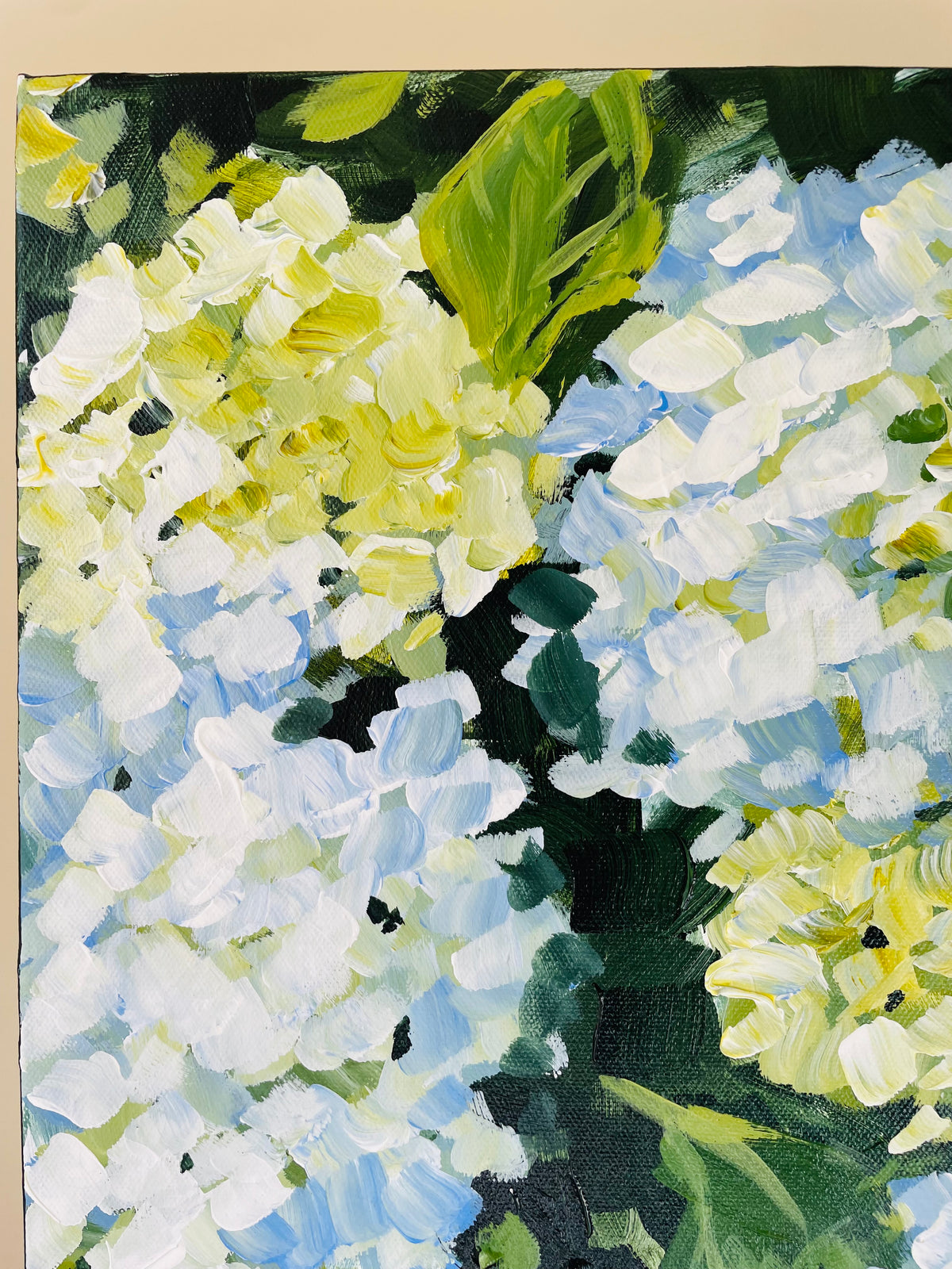 Hydrangeas III, 24 x 24