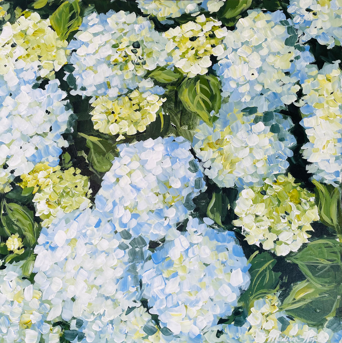 Hydrangeas III, 24 x 24