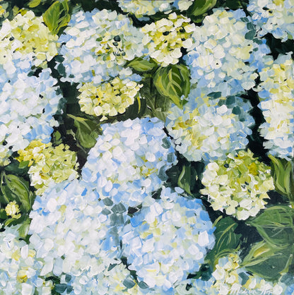 Hydrangeas III, 24 x 24