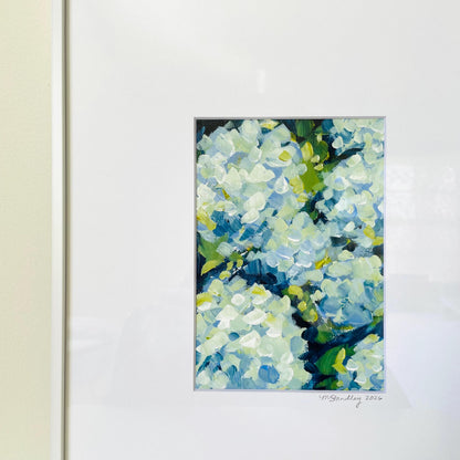 Hydrangea Bunches V